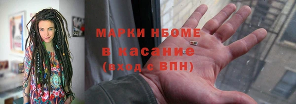 прущие грибы Абинск