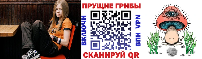 Псилоцибиновые грибы GOLDEN TEACHER  Назрань 